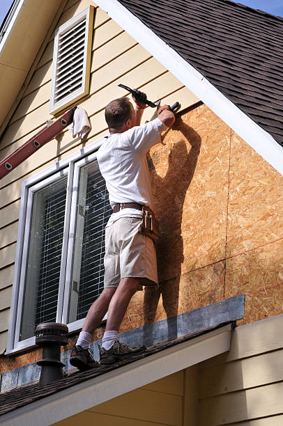 Best Shed Removal  in Austin, MN